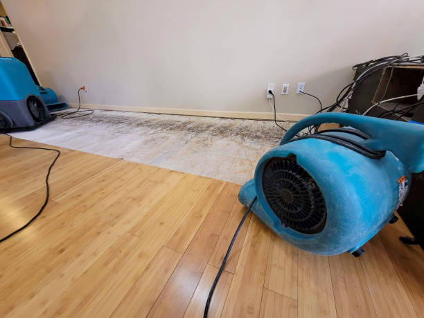 Professional Water Damage Repair technician working in Roach, MO